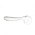 Мягкая приманка Wonder Killer Bait Gobio-TW 5.0см, 8шт