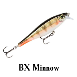 BX Minnow