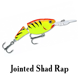 Jointed Shad Rap