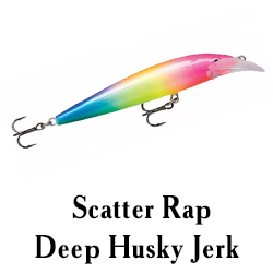 Scatter Rap Deep Husky Jerk