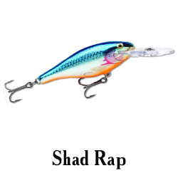 Shad Rap