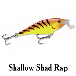 Shallow Shad Rap