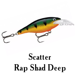 Scatter Rap Shad Deep