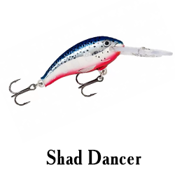 Shad Dancer