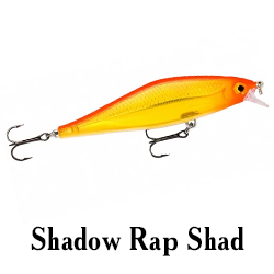 Shadow Rap Shad