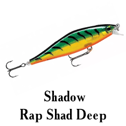 Shadow Rap Shad Deep