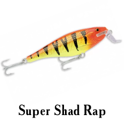 Super Shad Rap