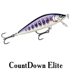 CountDown Elite