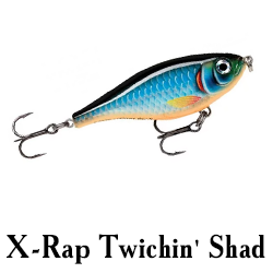 X-Rap Twichin' Shad