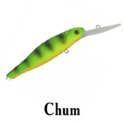 Chum