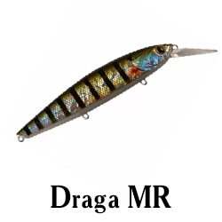 Draga MR