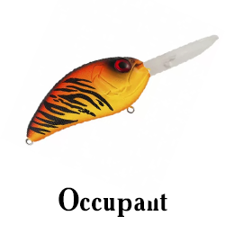 Occupant