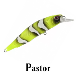 Pastor