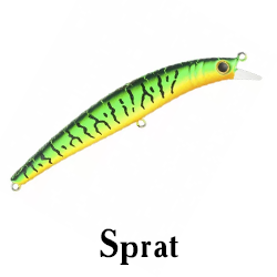 Sprat