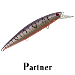 Partner