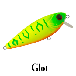 Glot