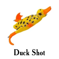 Duck Shot