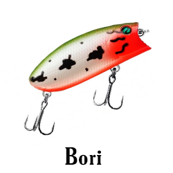 Bori