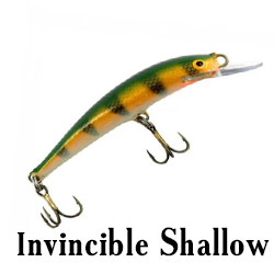 Invincible Shallow