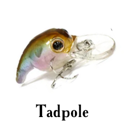 Tadpole